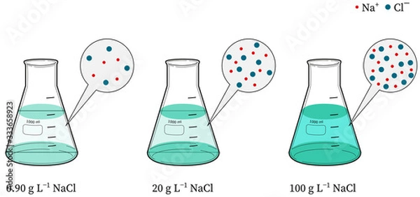 Fototapeta three conical flasks with increasing concentration of nacl