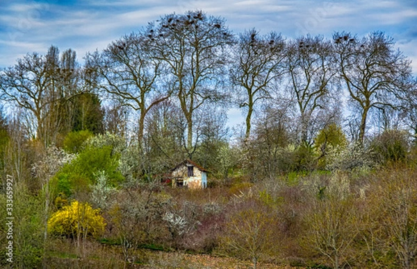 Obraz La cabane abandonnée
