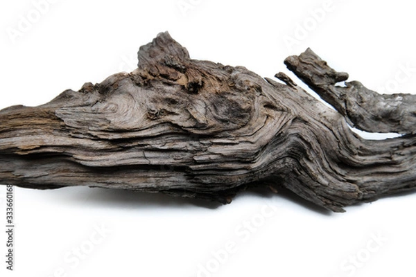 Fototapeta Driftwood / wieku drewno na białym tle. Odosobniony kawałek driftwood widok z góry. Driftwood stick zbliżenie, tekstura drewna do akwarium.