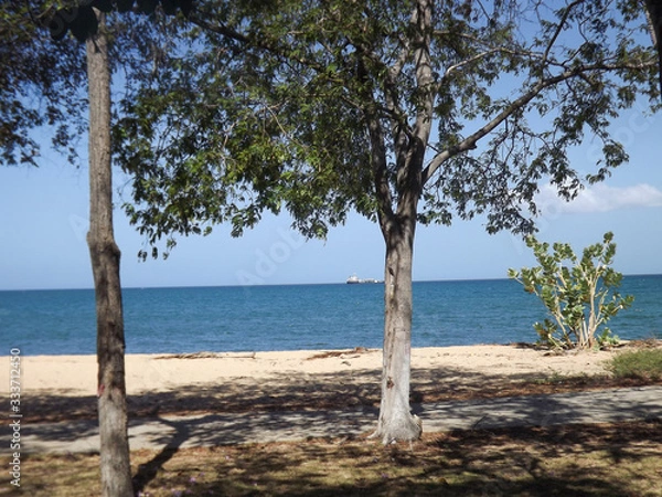 Obraz orillas de playa