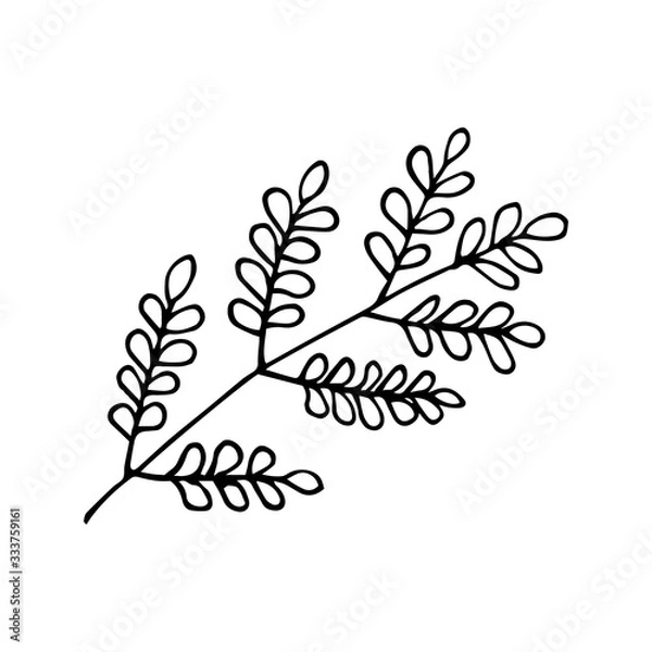 Fototapeta Forest leaves hand drawn vector. autumnal garden leaf Isolated on white background. Botanical forest plants or september october tree foliage