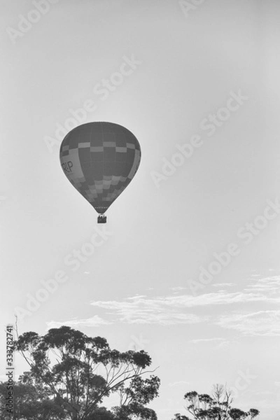 Obraz hot air balloon