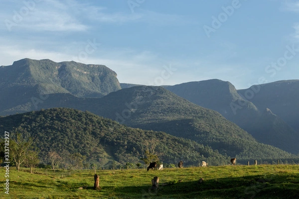 Obraz landscape in the mountains