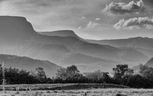 Obraz mountains and cows