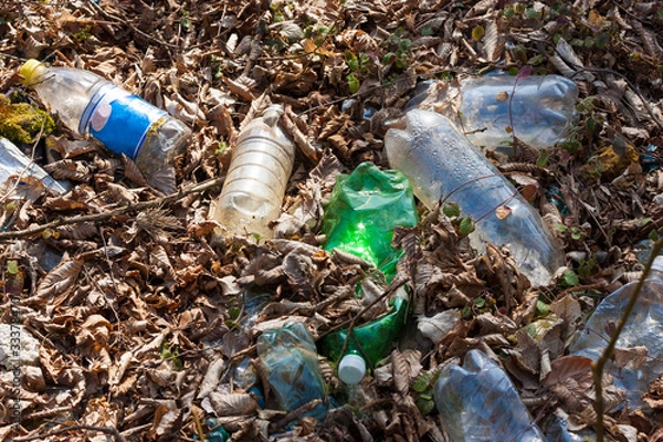 Fototapeta Garbage in a forest