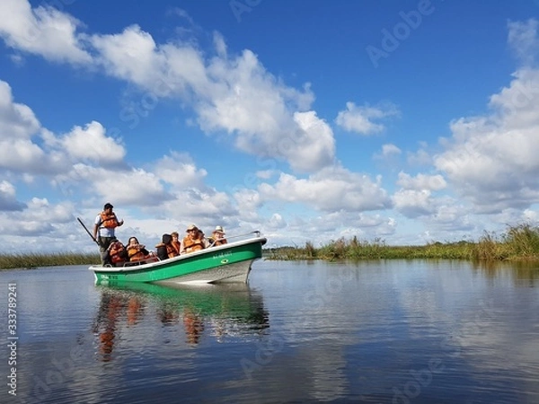 Obraz ESTEROS DEL IBERA
