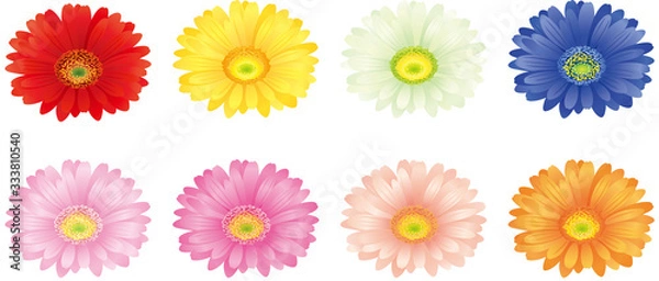 Obraz ガーベラ　花　アイコン