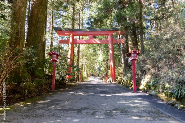 Fototapeta 箱根神社の鳥居