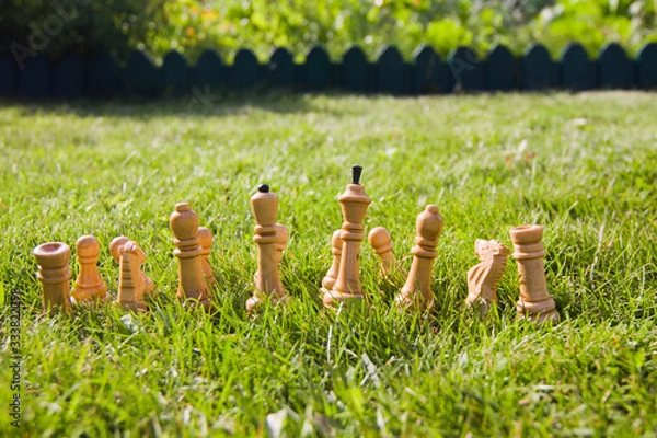 Fototapeta Chess pieces on the lawn on a sunny summer day. Chess game without a chessboard
