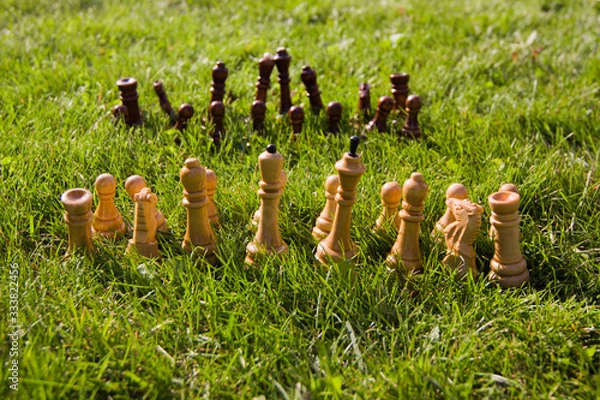 Fototapeta Chess pieces on the lawn on a sunny summer day. Chess game without a chessboard