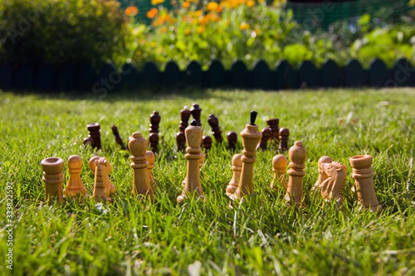 Fototapeta Chess pieces on the lawn on a sunny summer day. Chess game without a chessboard