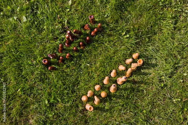 Fototapeta Chess pieces on the lawn on a sunny summer day. Chess game without a chessboard