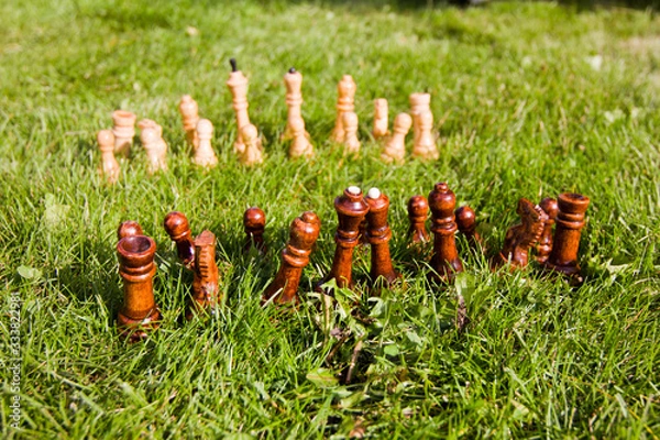 Fototapeta Chess pieces on the lawn on a sunny summer day. Chess game without a chessboard