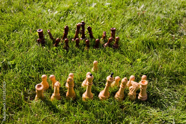 Fototapeta Chess pieces on the lawn on a sunny summer day. Chess game without a chessboard