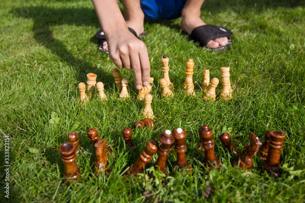 Fototapeta Chess pieces on the lawn on a sunny summer day. Chess game without a chessboard