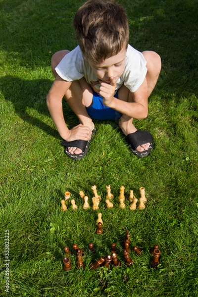Fototapeta Chess pieces on the lawn on a sunny summer day. Chess game without a chessboard