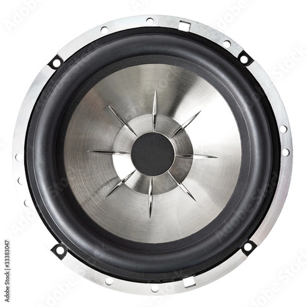 Obraz powerful woofer