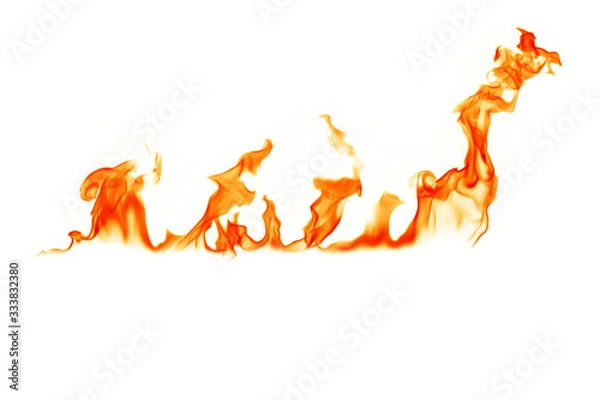 Obraz Fire flames on a white background.