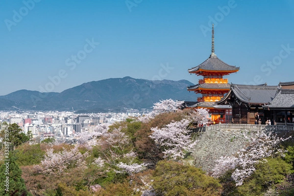 Obraz 日本 京都 清水寺の桜と春景色