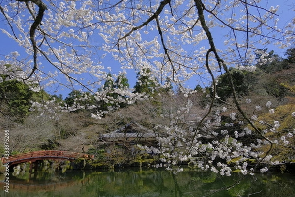 Obraz 京都 洛南の名刹 醍醐寺