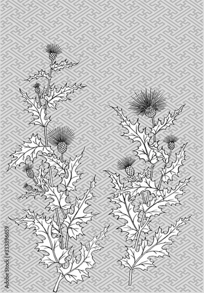 Fototapeta abstract floral background with flowers