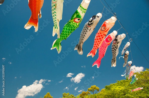 Fototapeta 鯉のぼり, 子供の日, 青空, 風, 赤, 青, 雲, 木, 緑