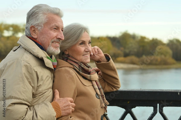 Fototapeta Portrait of smiling senior couple posing in park