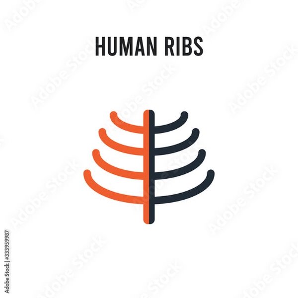 Fototapeta Human Ribs vector icon on white background. Red and black colored Human Ribs icon. Simple element illustration sign symbol EPS