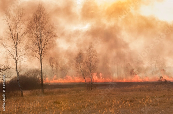 Obraz wypalanie traw