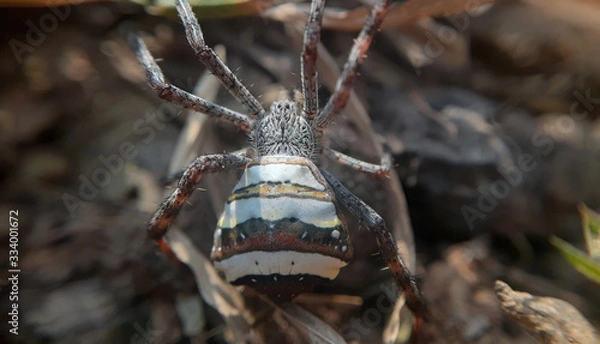 Obraz colors of danger 