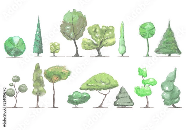 Obraz Architectural watercolor tree sketch set