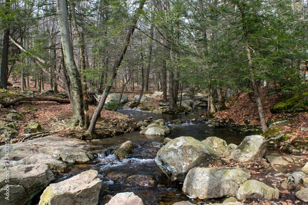 Obraz Forest Stream - Beautiful Scene