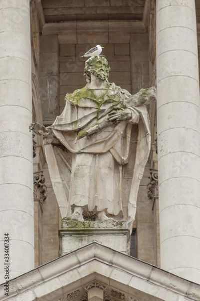 Fototapeta Bird on statue 2