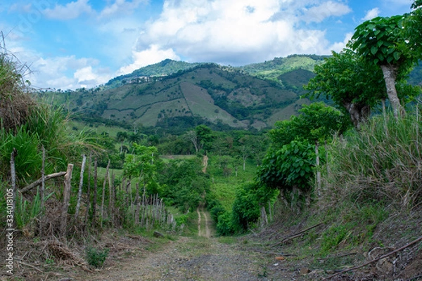 Obraz Caribbean Mountain and Forest