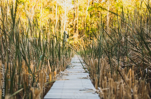 Obraz boardwalk