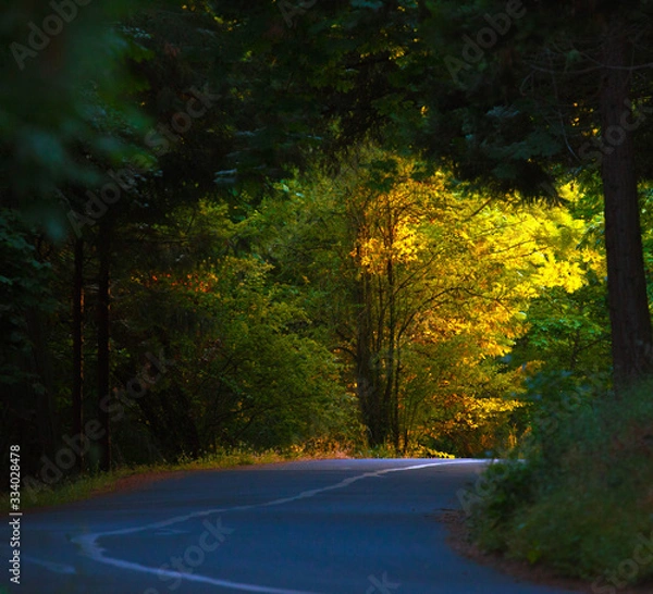 Obraz road to nowhere