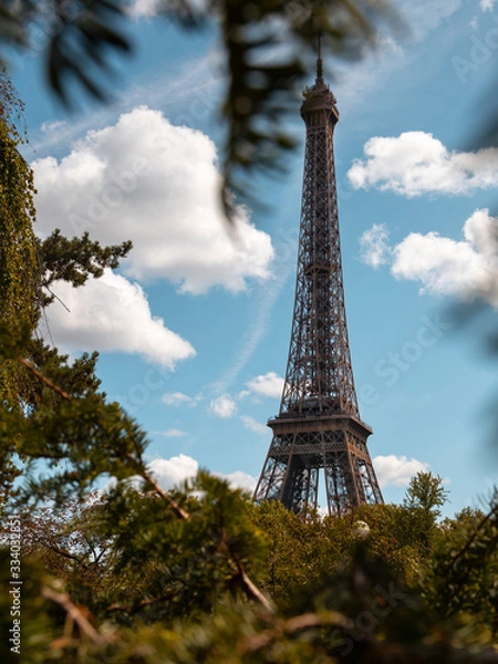 Fototapeta eiffel tower in paris