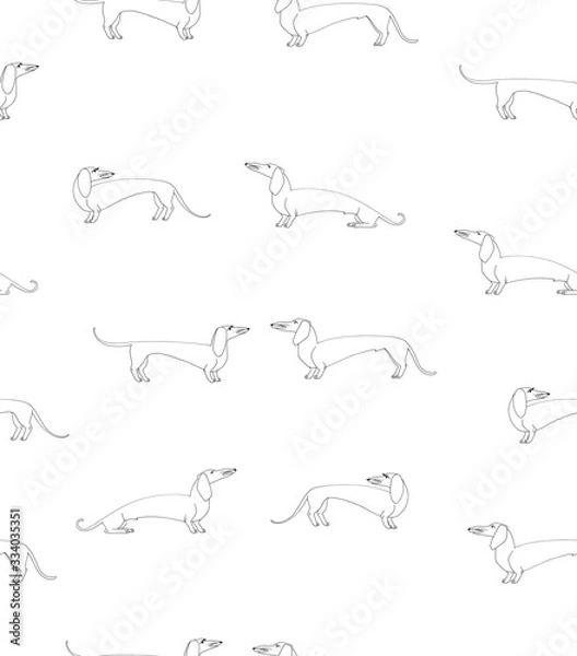 Fototapeta Seamless pattern dachshund dogs linear sketch