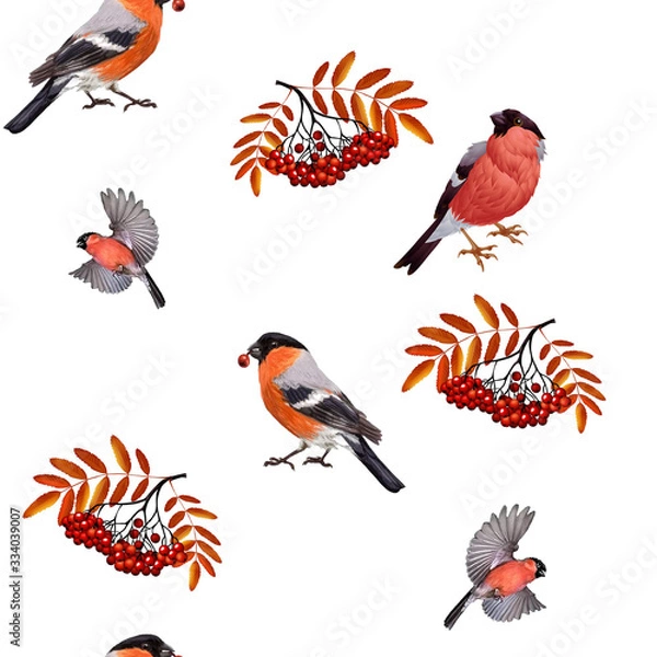 Obraz seamless pattern with birds