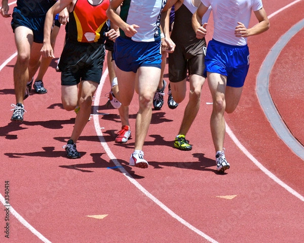 Obraz the training pay off