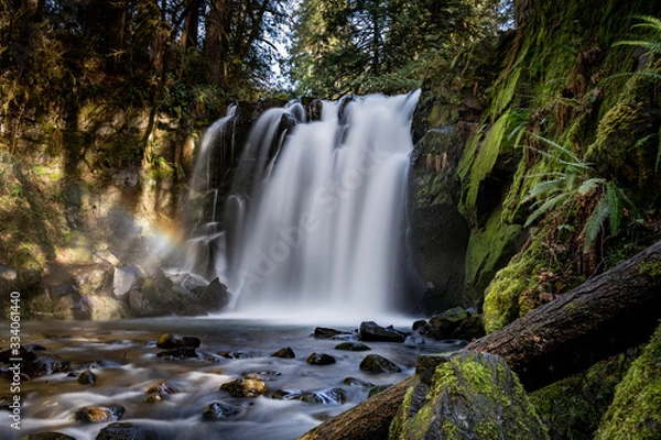 Fototapeta McDowell Creek Oregon Cascade Range