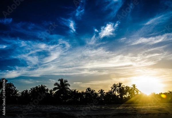 Obraz Sunset and palm trees