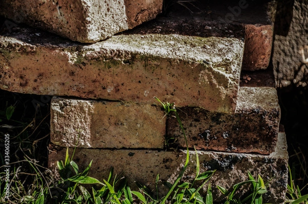 Obraz Old bricks wall