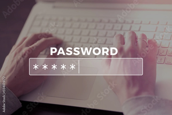 Fototapeta Password Box in Internet Browser
