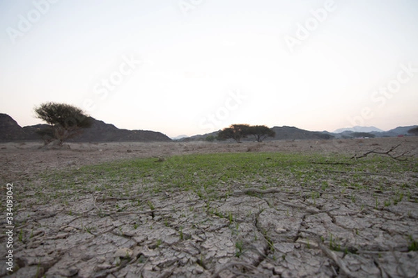 Obraz Wadi Shawka Dam