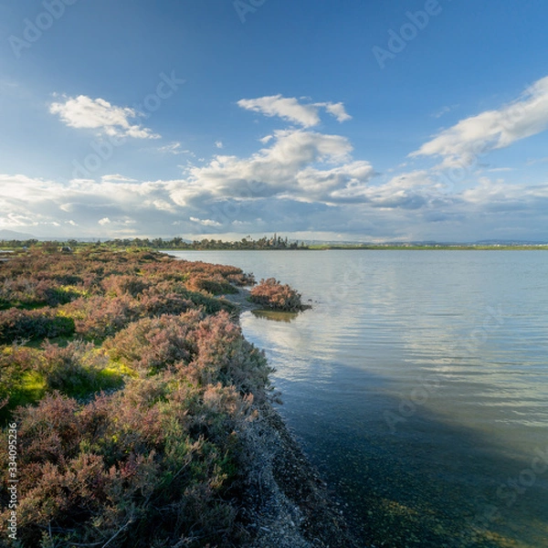 Obraz landscape with salt lake Larnaca and clouds