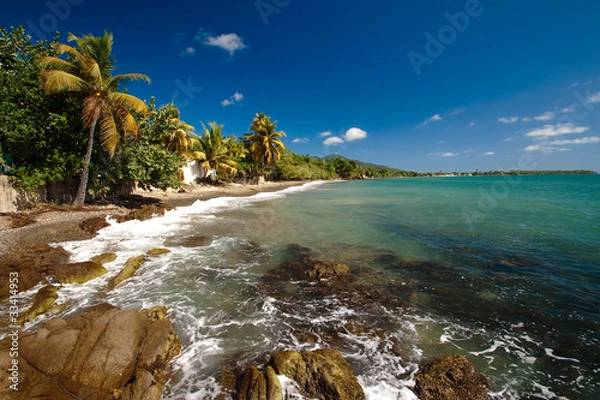 Obraz Seashore, Puerto RIco