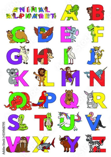 Fototapeta Zoo animal alphabet. Letters from A to Z. Cartoon cute animals isolated on white background. Different animals ABC. For children education and foreign language study. Alligator, bear, camel, duck etc.