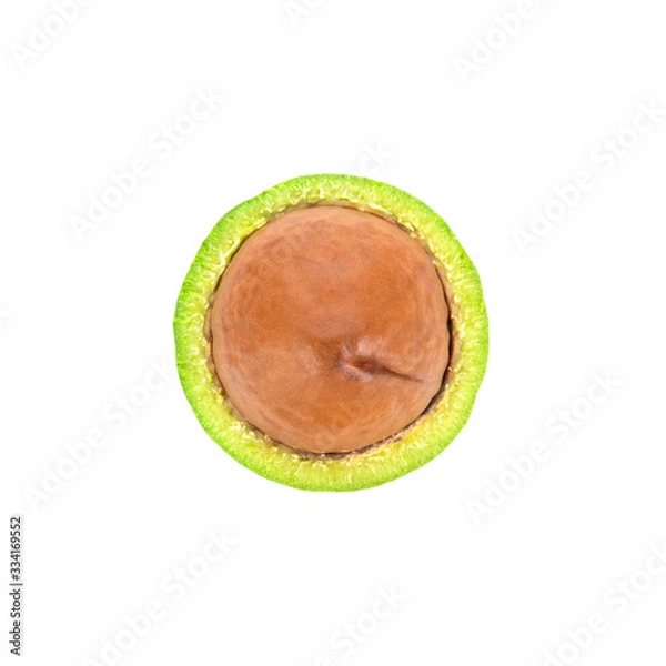 Fototapeta fresh macadamia nut on white background