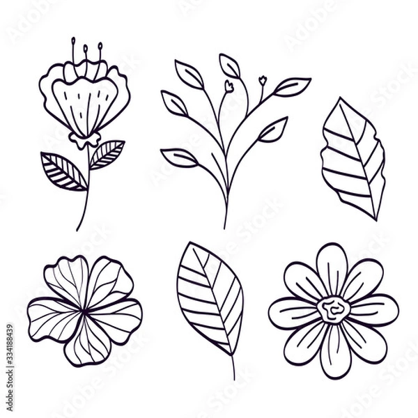 Fototapeta set of branches with leafs naturals vector illustration design